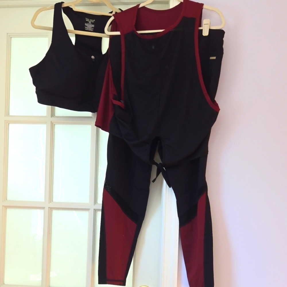 BUNDLE Alala top & leggings, TEK Bra EUC